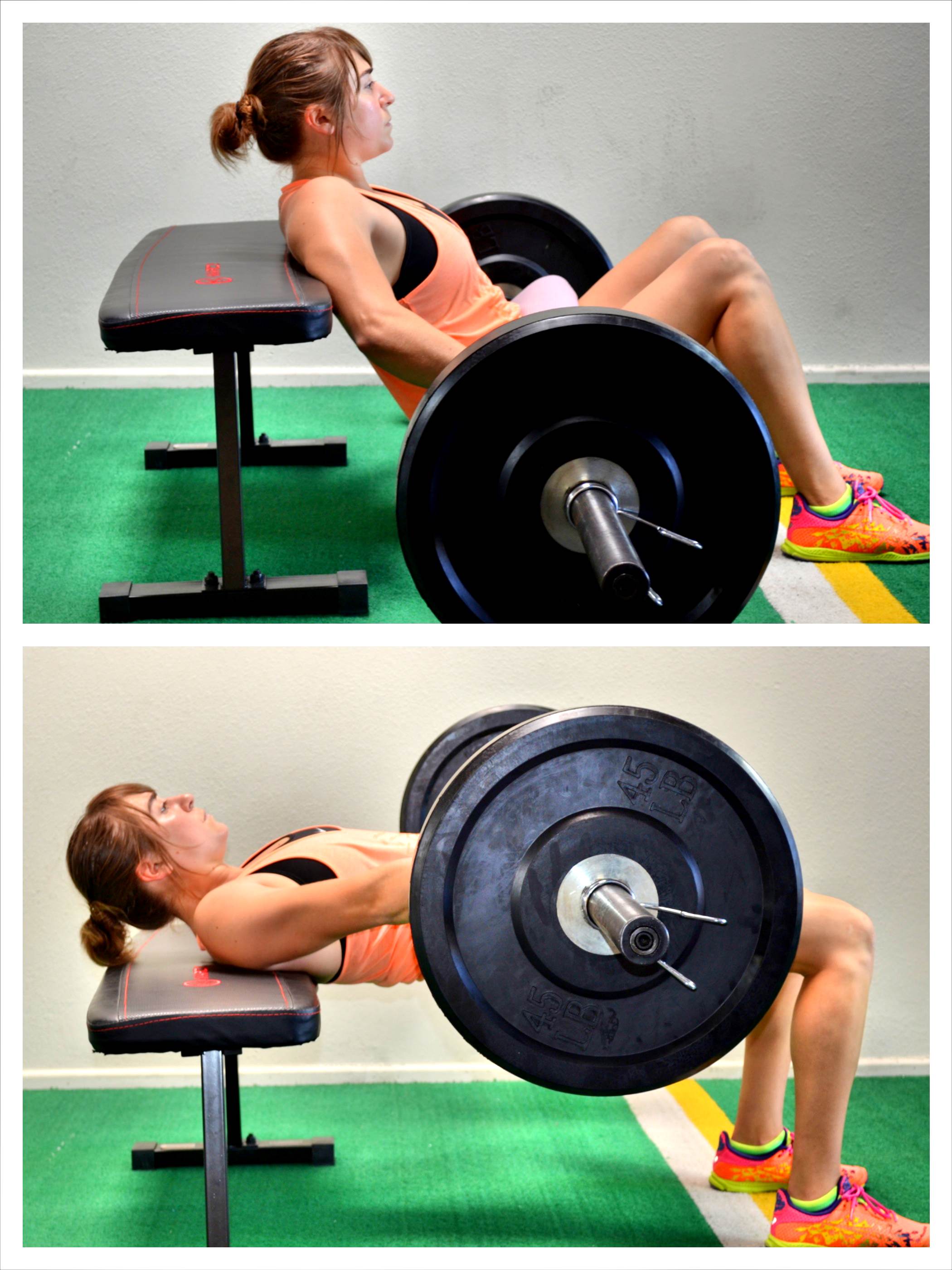 Hip Thrust Exercise Hip Thrust Exercise