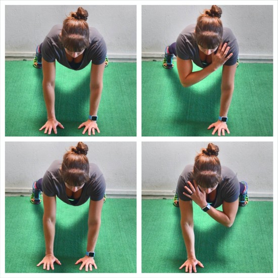 Plank Taps Benefits At Albert Dickey Blog Plank Taps Benefits At Albert Dickey Blog