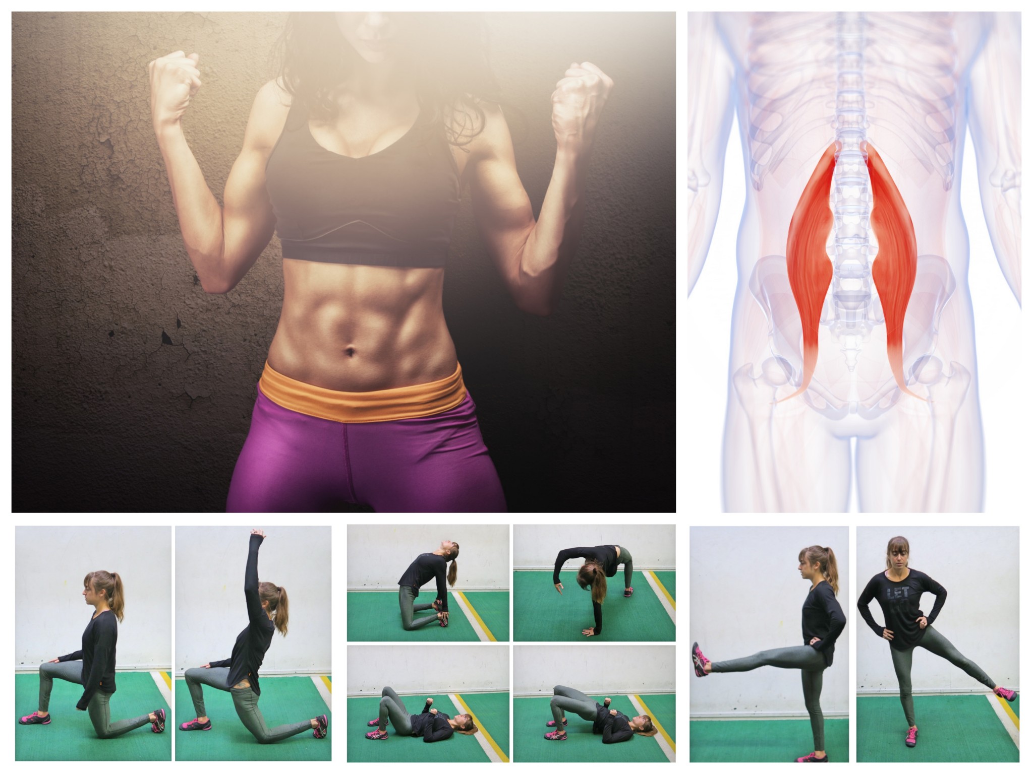 Glute and hip flexor exercises new arrivals