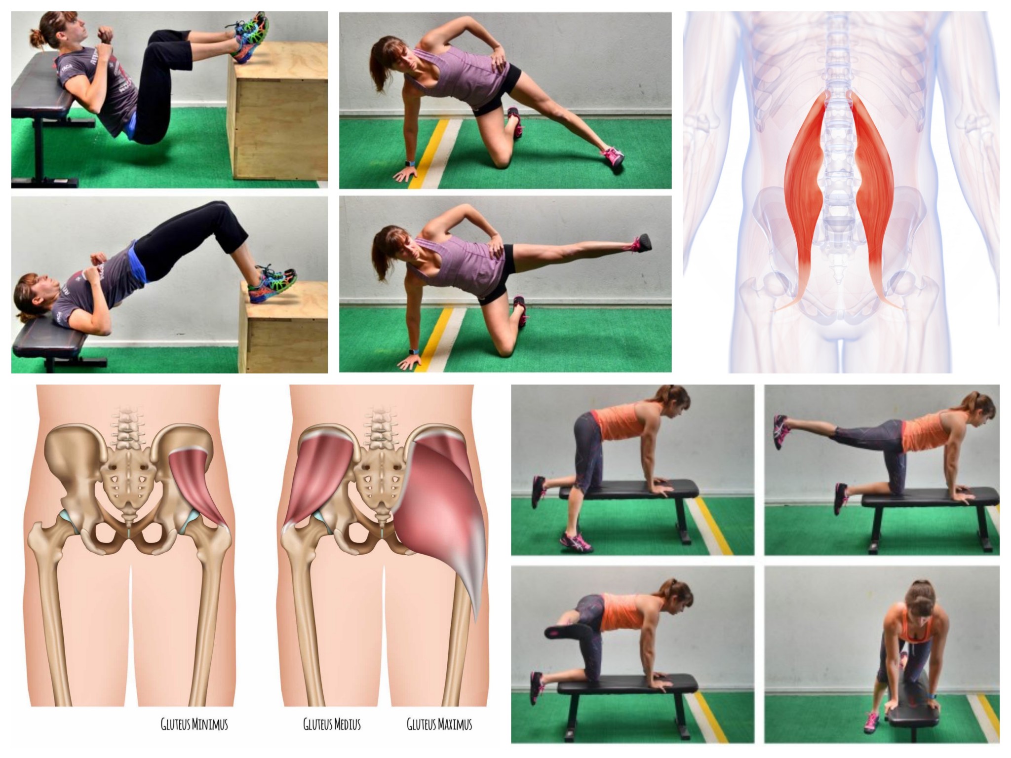 strengthen stretch gluteus medius