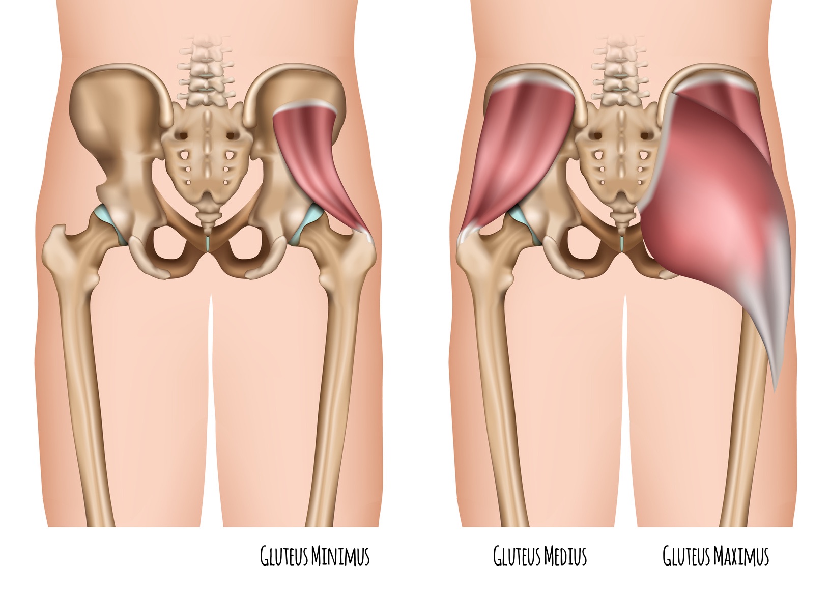 How To Activate Your Glutes Before You Workout Redefining Strength